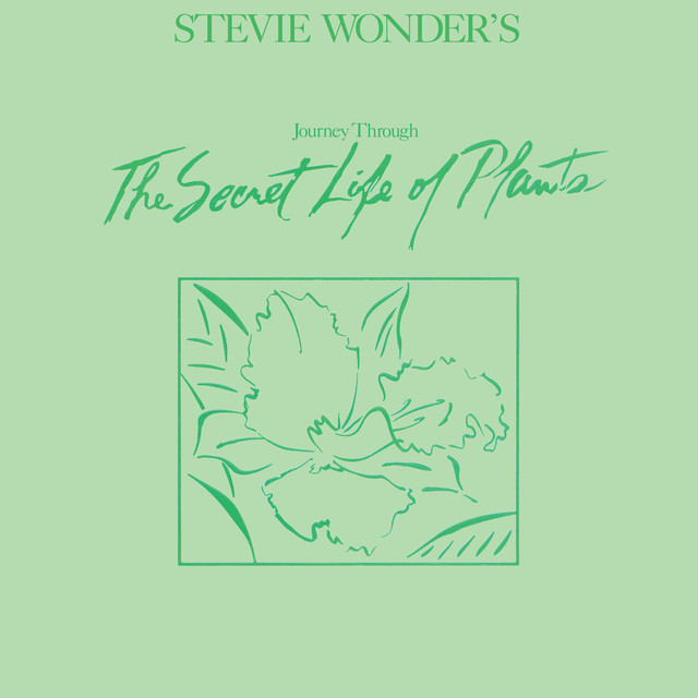 Stevie Wonder - Power FLower